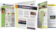 Newsletters sample